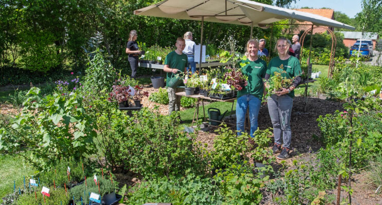 De Groene Hoeve aan de Boerlaan
