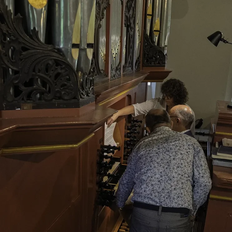 orgel meinardi